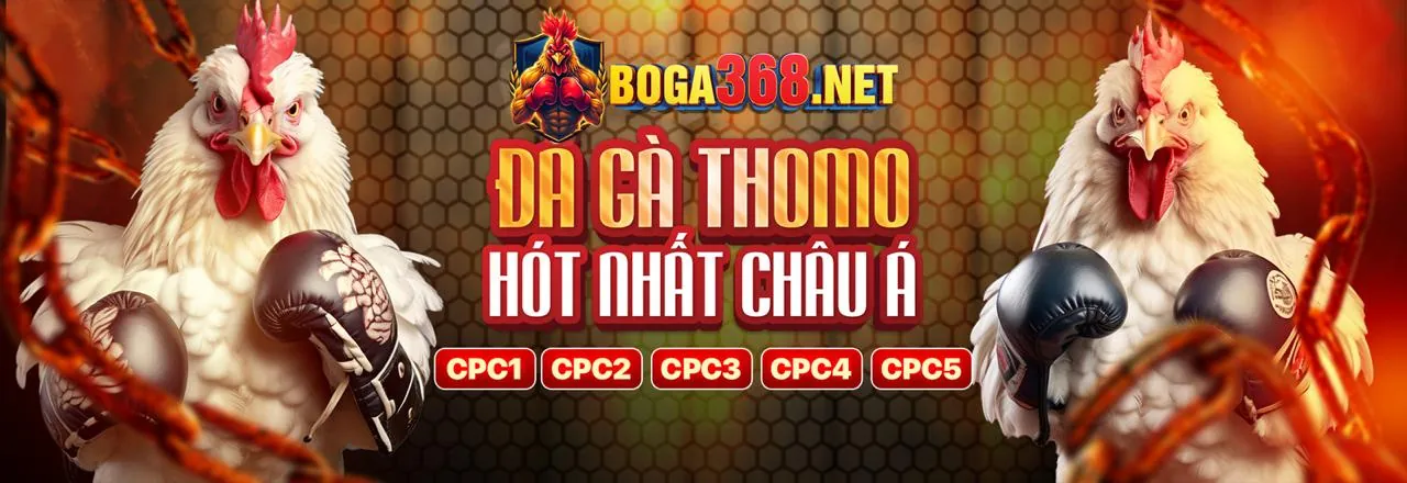 Banner giới thiệu nền tảng cá cược an toàn và đa dạng trò chơi của vty05 khuyến mãi