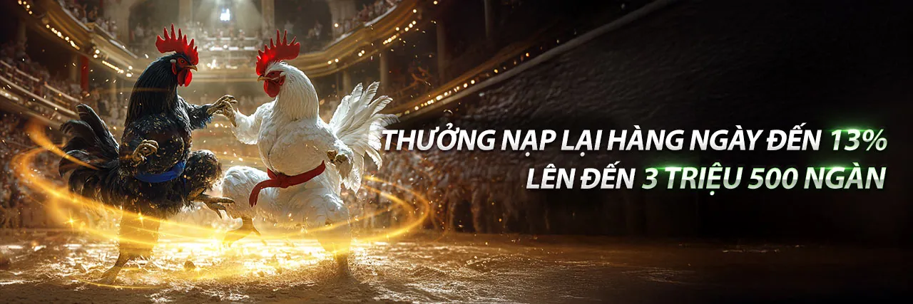 Đội ngũ hỗ trợ chuyên nghiệp của vty05 khuyến mãi